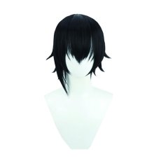 画像2: 陰の実力者になりたくて！　風　シャドウ　コスプレウィッグ　鬘　かつら (2)