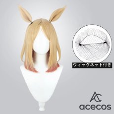 画像1: ウマ娘プリティーダービー　風　ナリタトップロード　コスプレウィッグ　鬘　かつら (1)