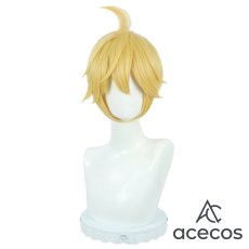 画像2: VOCALOID　風　鏡音レン　コスプレウィッグ　鬘　かつら (2)