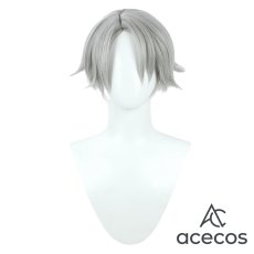 画像2: IdentityV 第五人格　風　納棺師(イソップ・カール)　ガット　コスプレウィッグ　鬘　かつら (2)