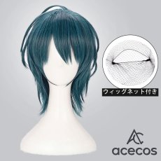 画像1: ファイアーエムブレム 風花雪月　風　ベレト　コスプレウィッグ　鬘　かつら (1)