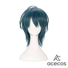 画像2: ファイアーエムブレム 風花雪月　風　ベレト　コスプレウィッグ　鬘　かつら (2)