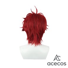 画像3: エリオスライジングヒーローズ（エリオスR）　風　鳳アキラ　コスプレウィッグ　鬘　かつら (3)