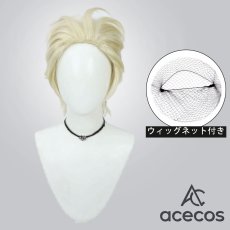 画像1: IdentityV 第五人格　風　隠者（アルヴァ・ロレンツ）　看守長　コスプレウィッグ　鬘　かつら (1)