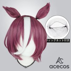 画像1: ウマ娘プリティーダービー　風　タニノギムレット　コスプレウィッグ　鬘　かつら (1)