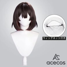 画像1: 崩壊：スターレイル　風　雪衣　コスプレウィッグ　鬘　かつら (1)