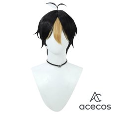 画像2: ハイキュー!!　風　西谷夕　コスプレウィッグ　鬘　かつら (2)