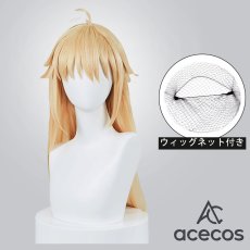 画像1: 月姫　風　アルクェイド・ブリュンスタッド　ロングヘア　コスプレウィッグ　鬘　かつら (1)