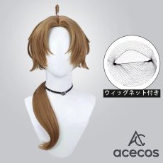 画像1: 無職転生 ?異世界行ったら本気だす?　風　ルーデウス・グレイラット　コスプレウィッグ　鬘　かつら (1)