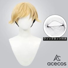 画像1: 葬送のフリーレン　風　ラント　コスプレウィッグ　鬘　かつら (1)