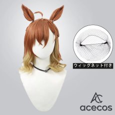 画像1: ウマ娘プリティーダービー　風　ジャングルポケット　コスプレウィッグ　鬘　かつら (1)