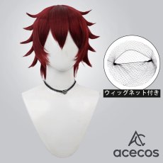 画像1: ツイステッドワンダーランド　風　ギデル　Gidel　コスプレウィッグ　鬘　かつら (1)