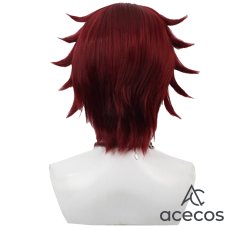 画像3: ツイステッドワンダーランド　風　ギデル　Gidel　コスプレウィッグ　鬘　かつら (3)