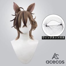 画像1: アークナイツ　風　ステインレス　コスプレウィッグ　鬘　かつら (1)