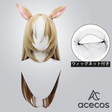 画像1: ウマ娘プリティーダービー　風　デュランダル　コスプレウィッグ　鬘　かつら (1)