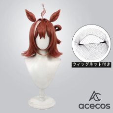 画像1: ウマ娘プリティーダービー　風　ラインクラフト　コスプレウィッグ　鬘　かつら (1)