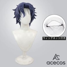 画像1: 魔法使いの約束　風　フィガロ　Figaro　コスプレウィッグ　鬘　かつら (1)
