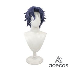 画像2: 魔法使いの約束　風　フィガロ　Figaro　コスプレウィッグ　鬘　かつら (2)