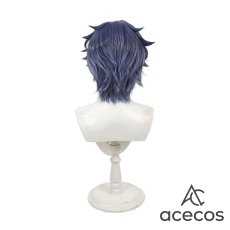 画像3: 魔法使いの約束　風　フィガロ　Figaro　コスプレウィッグ　鬘　かつら (3)