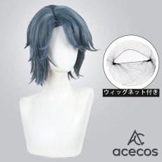 画像1: IdentityV 第五人格　風　患者(エミール)　演繹の星　コスプレウィッグ　鬘　かつら (1)