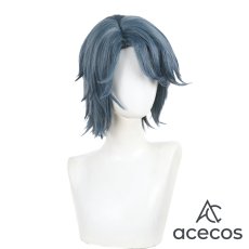 画像2: IdentityV 第五人格　風　患者(エミール)　演繹の星　コスプレウィッグ　鬘　かつら (2)