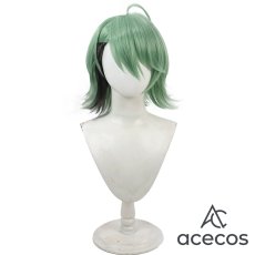 画像2: 風都探偵　風　フィリップ　コスプレウィッグ　鬘　かつら (2)