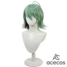 画像3: 風都探偵　風　フィリップ　コスプレウィッグ　鬘　かつら (3)