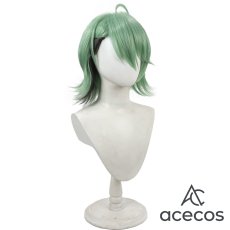 画像4: 風都探偵　風　フィリップ　コスプレウィッグ　鬘　かつら (4)