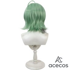 画像5: 風都探偵　風　フィリップ　コスプレウィッグ　鬘　かつら (5)