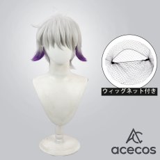 画像1: わんだふるぷりきゅあ!　風　兎山大福　コスプレウィッグ　鬘　かつら (1)