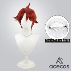 画像1: わんだふるぷりきゅあ!　風　兎山悟　コスプレウィッグ　鬘　かつら (1)