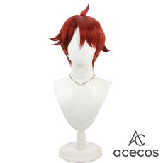 画像2: わんだふるぷりきゅあ!　風　兎山悟　コスプレウィッグ　鬘　かつら (2)