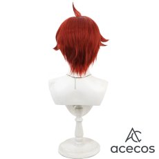 画像3: わんだふるぷりきゅあ!　風　兎山悟　コスプレウィッグ　鬘　かつら (3)