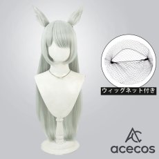 画像1: ウマ娘プリティーダービー　風　フジマサマーチ　コスプレウィッグ　鬘　かつら (1)