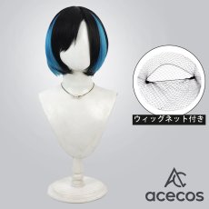 画像1: 仮面ライダー555　風　スマートレディ　コスプレウィッグ　鬘　かつら (1)