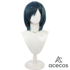 画像2: デリシャスパーティー?プリキュア　風　芙羽ここね(キュアスパイシー)　制服　コスプレウィッグ　鬘　かつら (2)