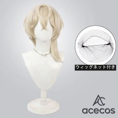 画像1: アークナイツ　風　聖約イグゼキュター　コスプレウィッグ　鬘　かつら (1)