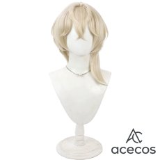 画像2: アークナイツ　風　聖約イグゼキュター　コスプレウィッグ　鬘　かつら (2)