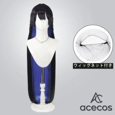 画像1: Unnamed Memory　風　ティナーシャ　コスプレウィッグ　鬘　かつら (1)