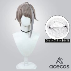 画像1: Fate/Samurai Remnant　風　アーチャー　コスプレウィッグ　鬘　かつら (1)