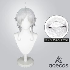 画像1: 無職転生 ?異世界行ったら本気だす?　風　シルフィエット　コスプレウィッグ　鬘　かつら (1)