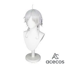 画像4: 無職転生 ?異世界行ったら本気だす?　風　シルフィエット　コスプレウィッグ　鬘　かつら (4)