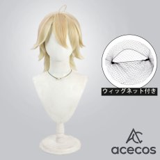 画像1: 刀剣乱舞　風　南泉一文字　コスプレウィッグ　鬘　かつら (1)