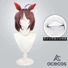 画像1: ウマ娘プリティーダービー　風　グランアレグリア　コスプレウィッグ　鬘　かつら (1)