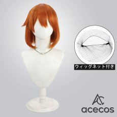 画像1: スライム倒して300年、知らないうちにレベルMAXになってました　風　ライカ　コスプレウィッグ　鬘　かつら (1)