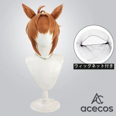 画像1: ウマ娘プリティーダービー　風　フリオーソ　コスプレウィッグ　鬘　かつら (1)