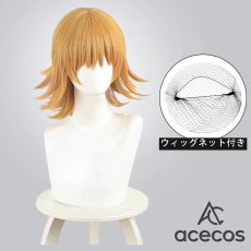 画像1: 出禁のモグラ　風　桐原八重子　コスプレウィッグ　鬘　かつら (1)