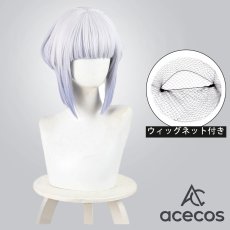画像1: ロックは淑女の嗜みでして　風　白矢環　コスプレウィッグ　鬘　かつら (1)