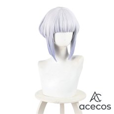 画像2: ロックは淑女の嗜みでして　風　白矢環　コスプレウィッグ　鬘　かつら (2)