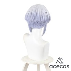 画像3: ロックは淑女の嗜みでして　風　白矢環　コスプレウィッグ　鬘　かつら (3)